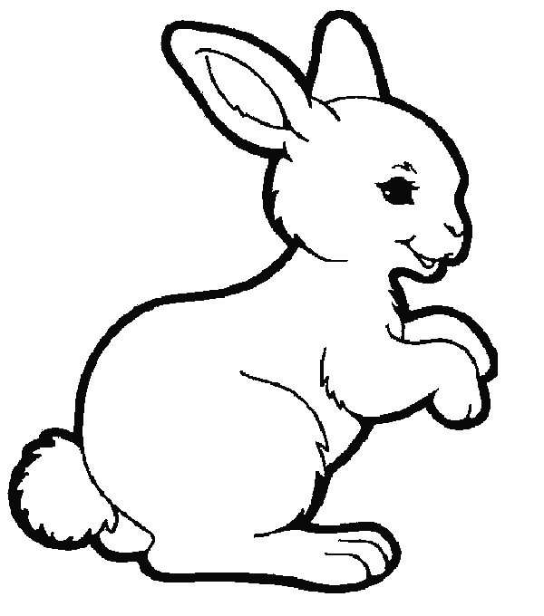 malvorlage  kaninchen malvorlagen 12