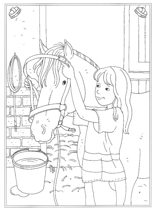 Reitschule Ausmalbilder Animaatjes De