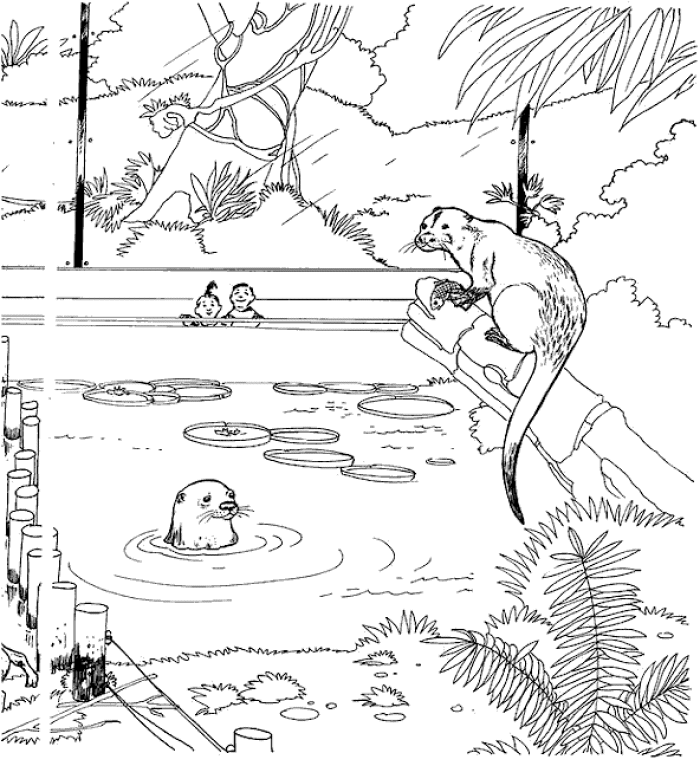 Zoo Ausmalbilder | Animaatjes.de