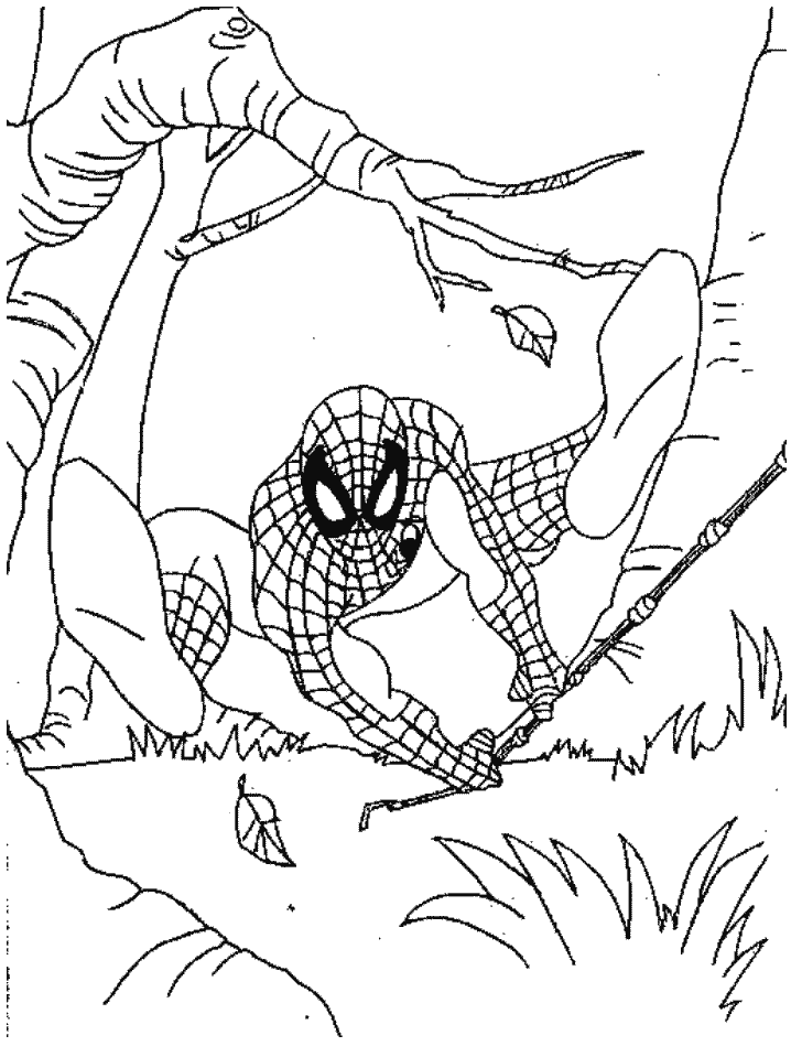 malvorlage  spiderman malvorlagen 5