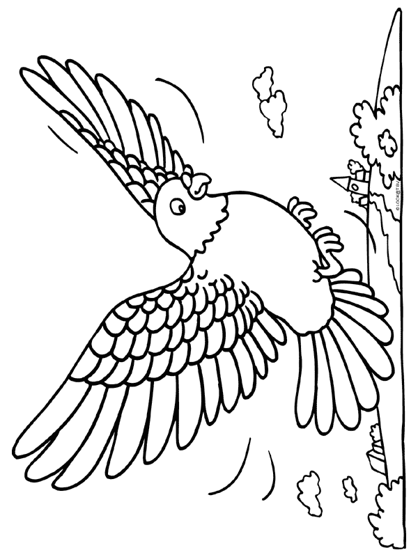 Malvorlage - Vogel malvorlagen 9