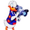 donald duck