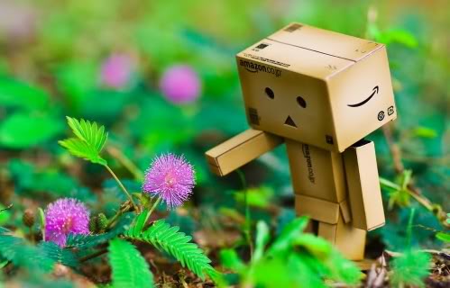 Danbo Baby on Danbo Baby On Danbo Bild Animaatjes Danbo 42191