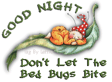 Guten nacht