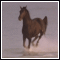 animaatjes-paarden-36899.gif