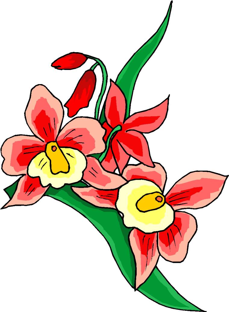 clip art flowers microsoft - photo #30