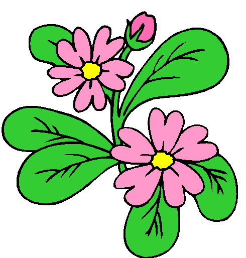 clipart blumen geburtstag kostenlos - photo #44