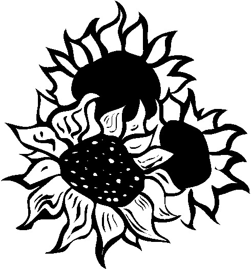 clipart kostenlos sonnenblume - photo #13