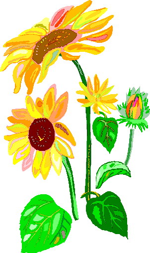 clipart kostenlos sonnenblume - photo #10