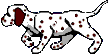 hunde