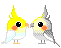 Vogel mini bilder