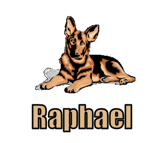 Bedeutung Name Raphael