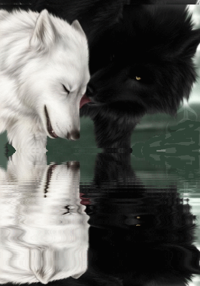wolfe bild  animaatjes wolven 44443