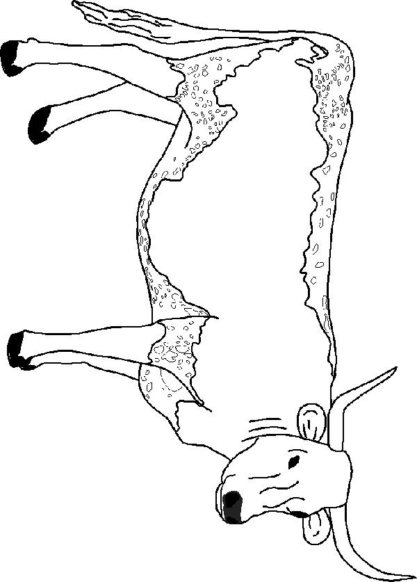 Malvorlage - Kuh malvorlagen 26