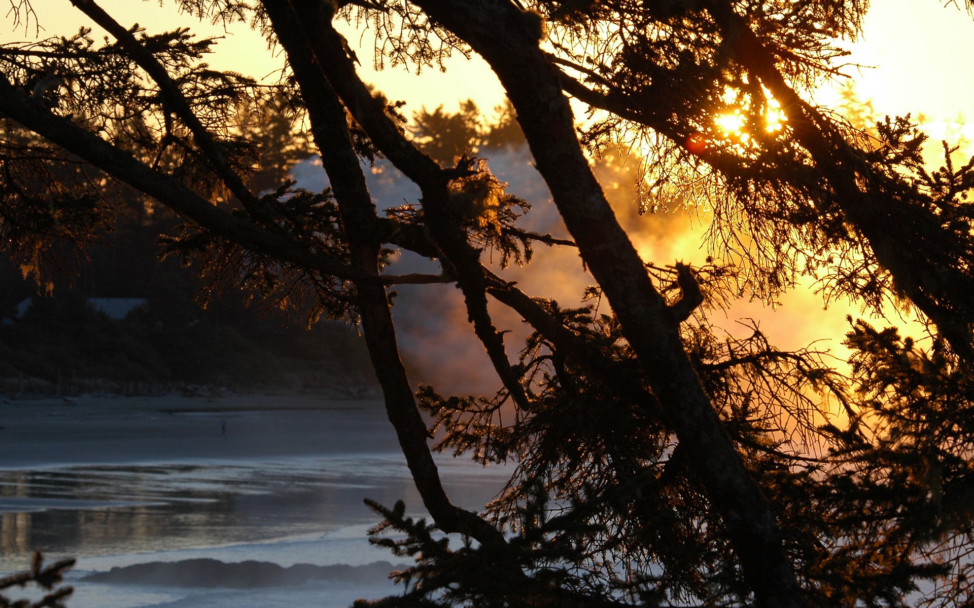 natur