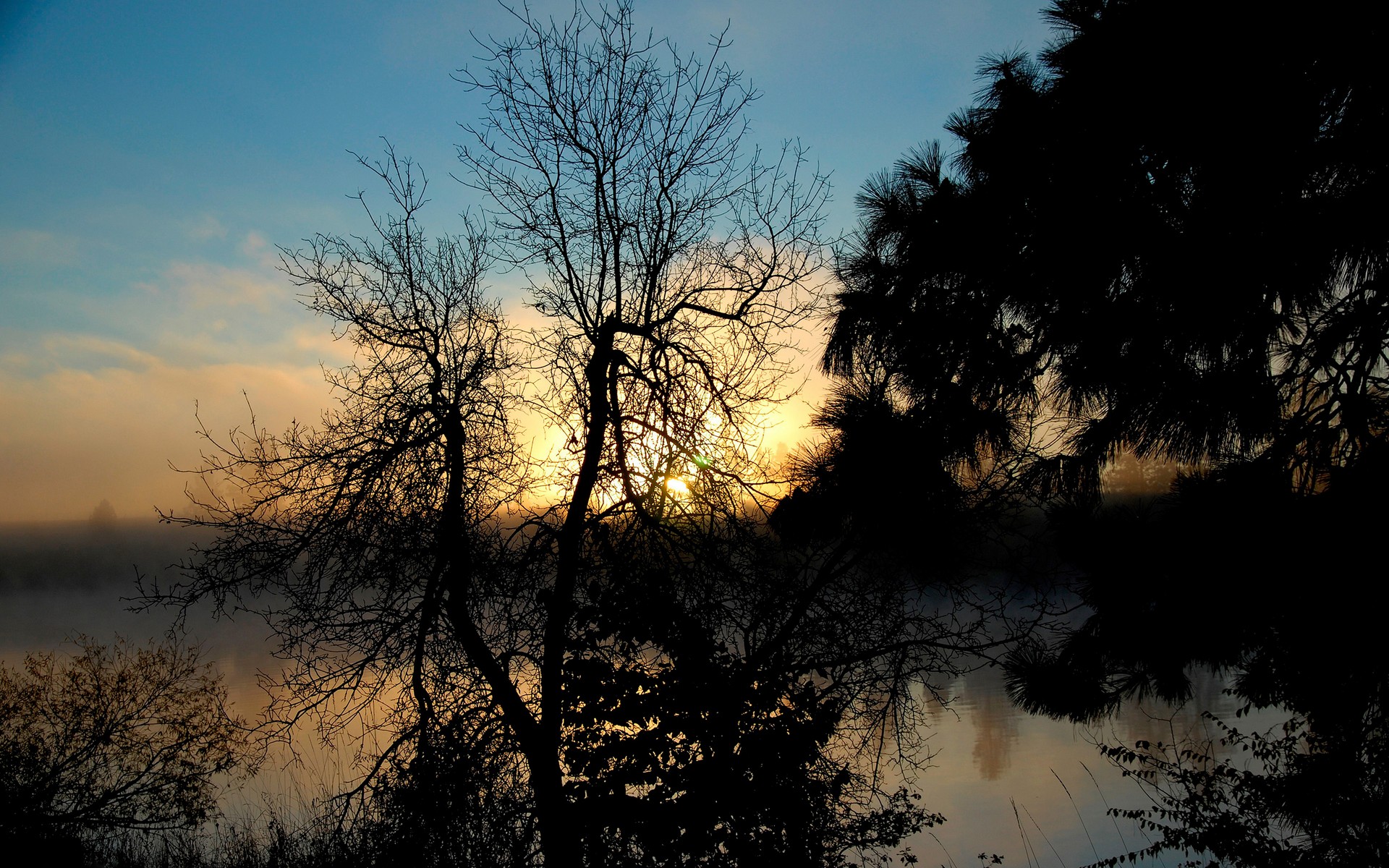 natur