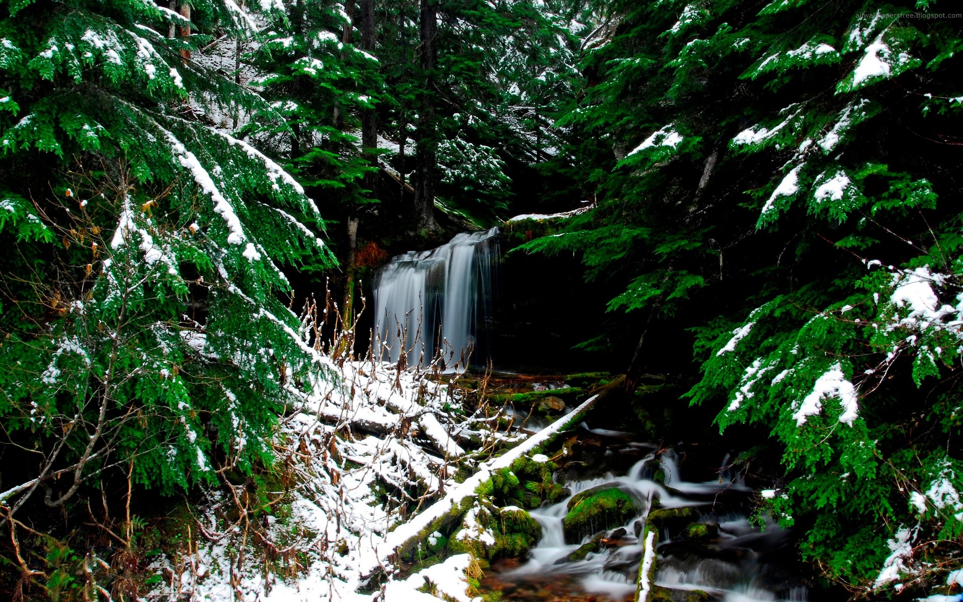 natur