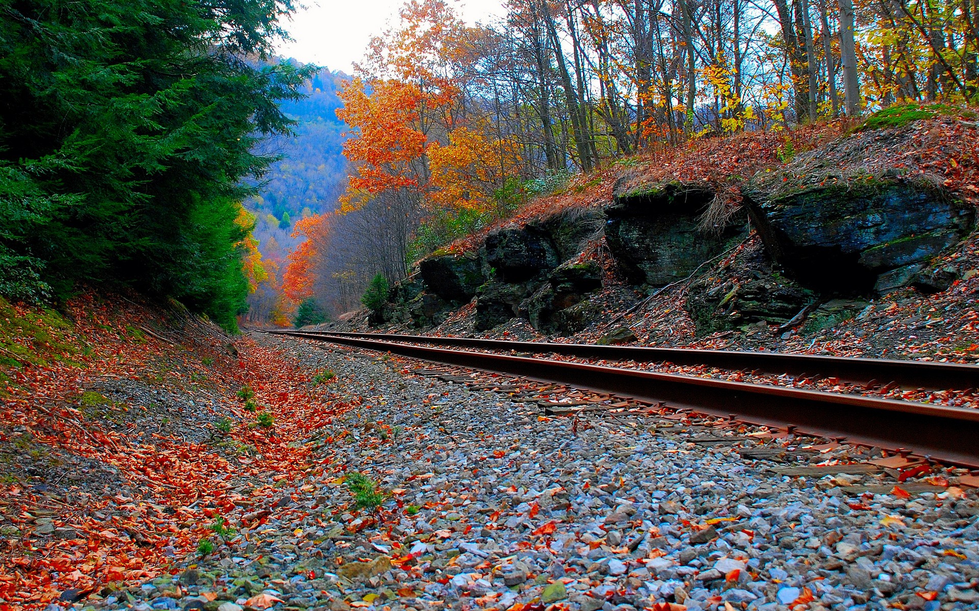 natur