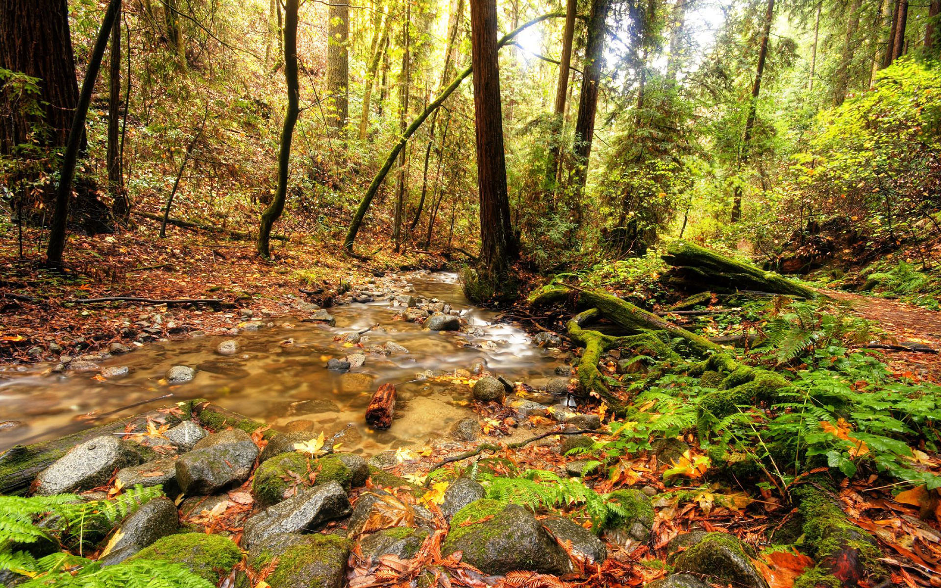 natur