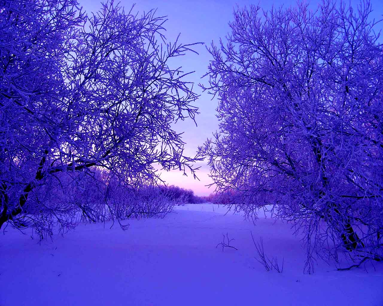 Wallpaper - Wallpaper winter animaatjes 9