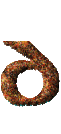 Bienen 7 alphabete