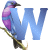 Blauer vogel