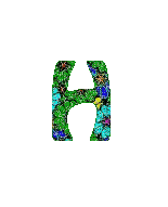 Blumen 4 alphabete
