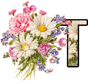 Blumen alphabete