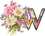 Blumen alphabete