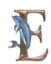 Delfin 2 transparent alphabete