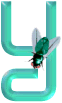 Fliege alphabete