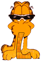 Garfield cool