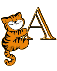 Garfield