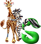 Giraffe mit zebra