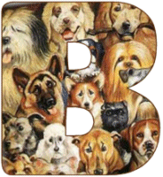 Hunde allerlei alphabete