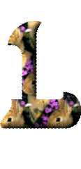 Kaninchen mit blumen alphabete