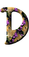 Kaninchen mit blumen alphabete