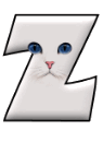 Katzen 11