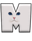 Katzen 11 alphabete