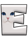 Katzen 11