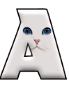 Katzen 11 alphabete