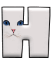 Katzen 11 alphabete