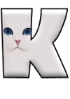 Katzen 11 alphabete