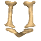 Knochen alphabete