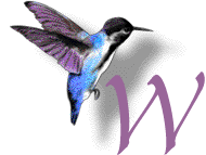 Kolibri alphabete