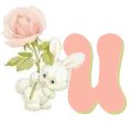 Konijn alphabete