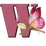 Libelle alphabete
