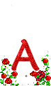 Rosen 3 alphabete