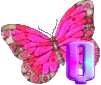 Schmetterlinge rosa