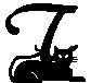 Schwarze katze 2